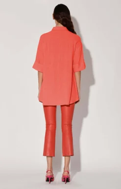 Tops><noscript><img width=