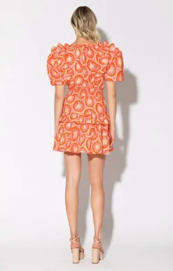 Dresses><noscript><img width=