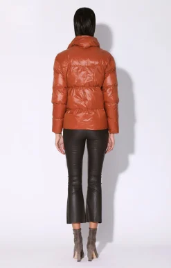 Jackets><noscript><img width=