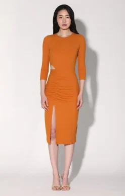 Dresses>Walter Baker Kalani Dress, Rust